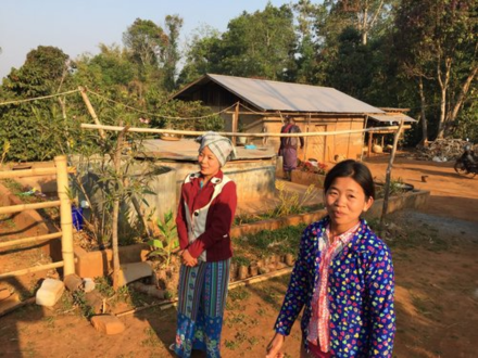 Coffee Analysis: Myanmar Coffee from Shan State Ywangan