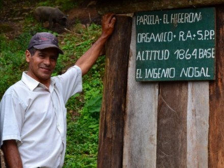 Origin Report: Peru’s Las Damas de San Ignacio