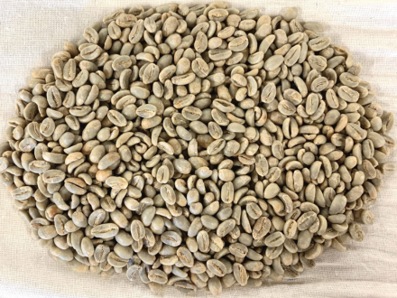 Coffee Analysis: Honduras Fredy Sabillon Parainema