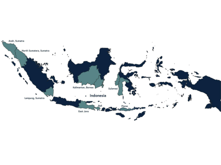 Origin Profile: Indonesia Coffee