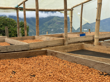 RNY on Location: Huila Coffee Trip Highlights