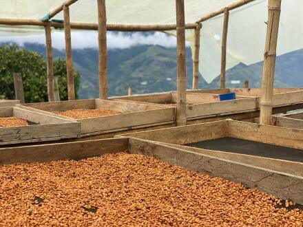 RNY on Location: Huila Coffee Trip Highlights