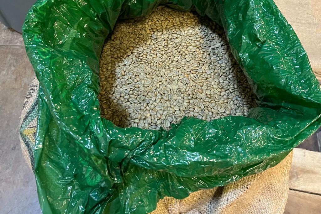 green coffee stored in grain pro bag