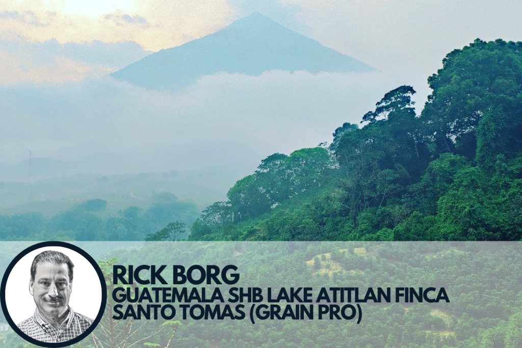 landscape photograph of Guatemala SHB Lake Atitlan Finca Santo Tomas