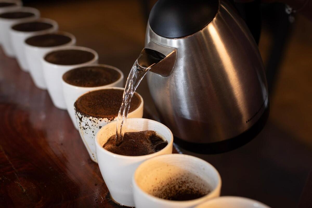Improving Your Sensory & Brewing Skills