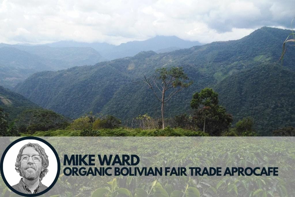 landscape of coffee farm and mountains in Bolivia