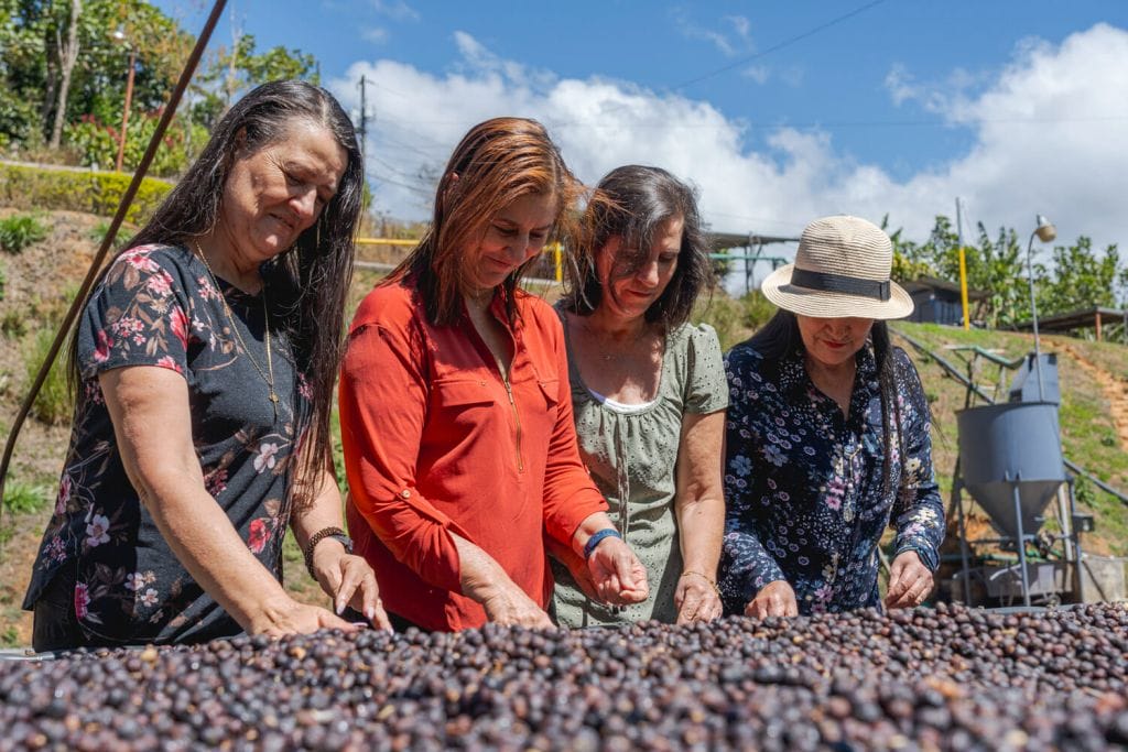 The four sisters of La Candelilla Estate Costa Rica coffee farm