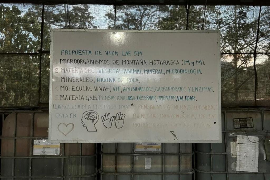 whiteboard with text about specialty coffee at COMSA in Honduras