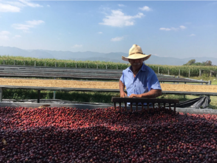 RNY On Location: Coffee in Colombia