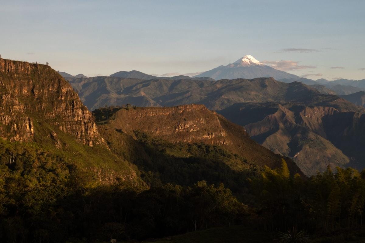 RNY On Location: Coffee in Colombia | Royal New York