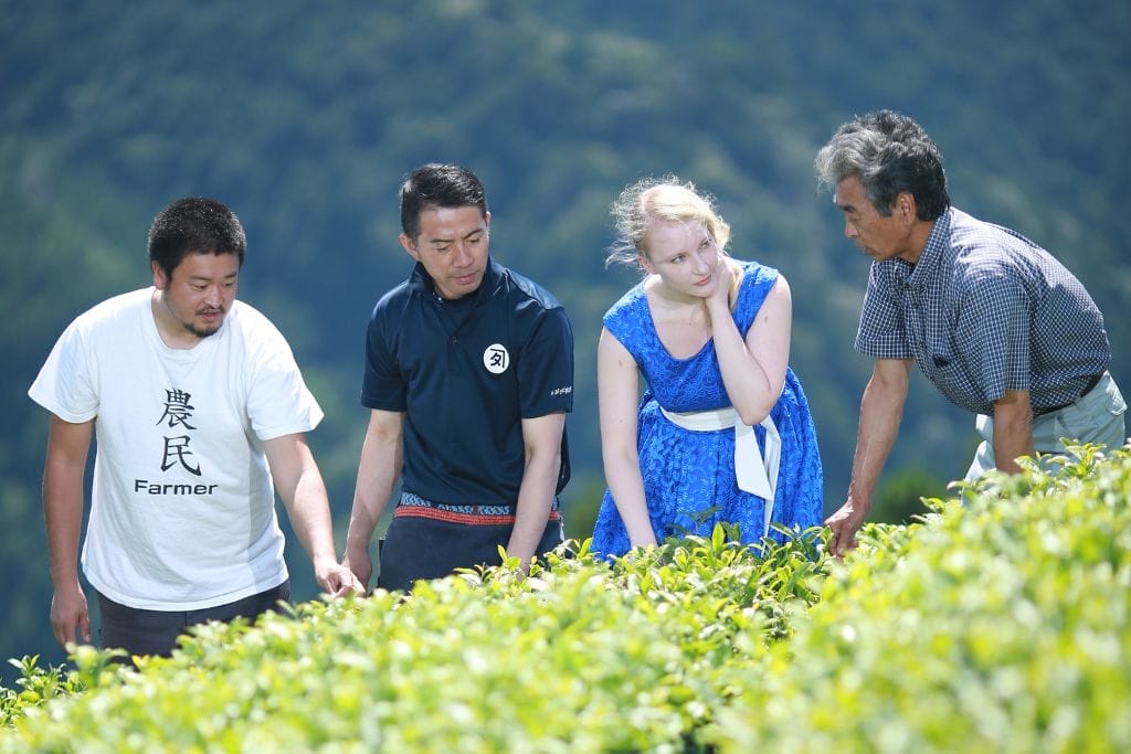 ceremonial grade matcha producers