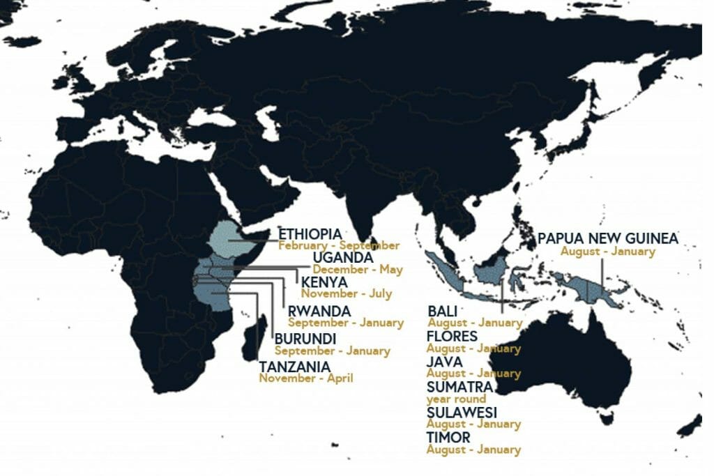 Royal New York Africa & Asia specialty coffee map