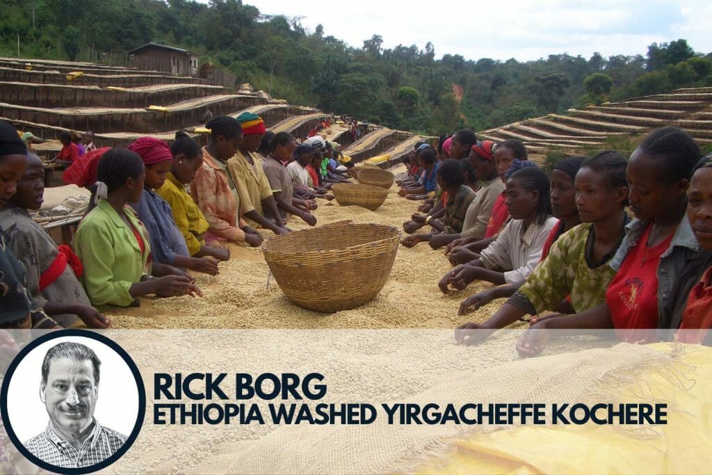 Specialty coffee drying in Ethiopia