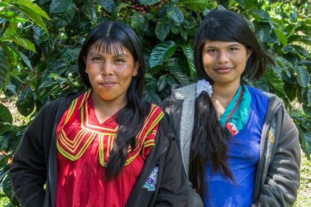 Specialty coffee producers on a specialty coffee farm in Panama