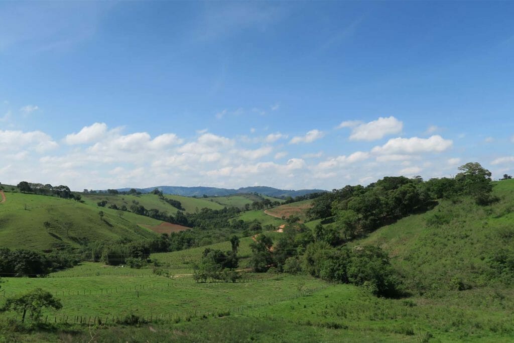 Legendér specialty coffee from Brazil