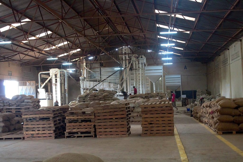 Specialty coffee dry mill in Kenya