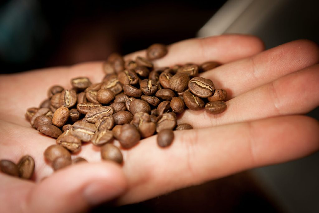 Person holding roasted specialty coffee beans