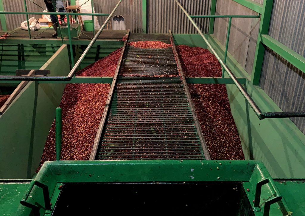 micro milling cherries