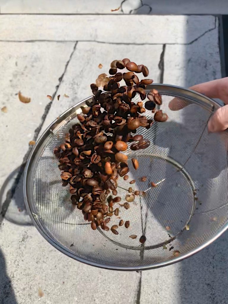 home roasted coffee in a metal strainer