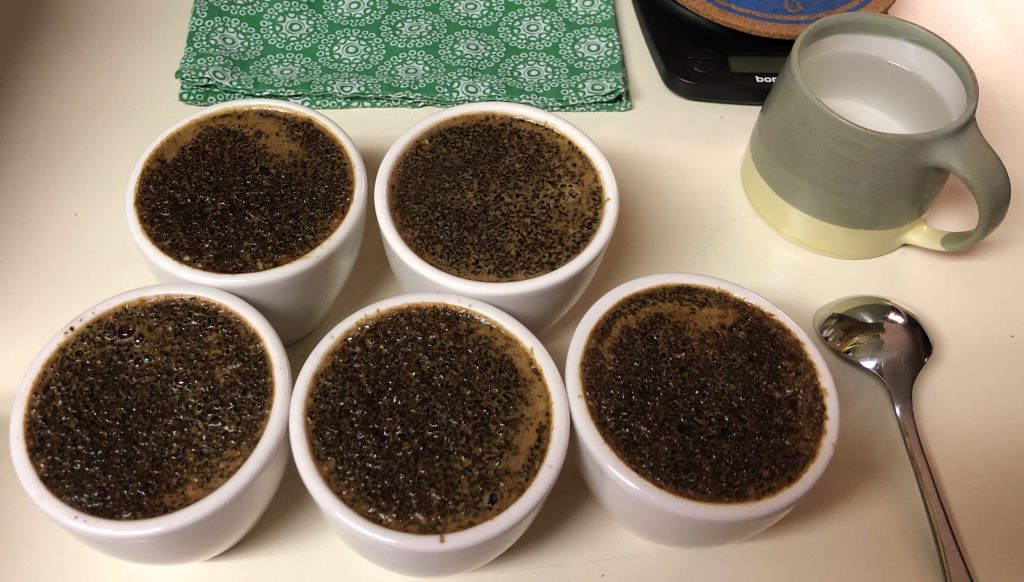 Specialty coffee cupping at Royal New York