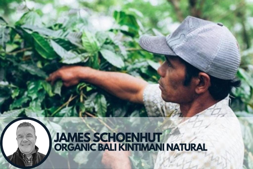 organic coffee from bali