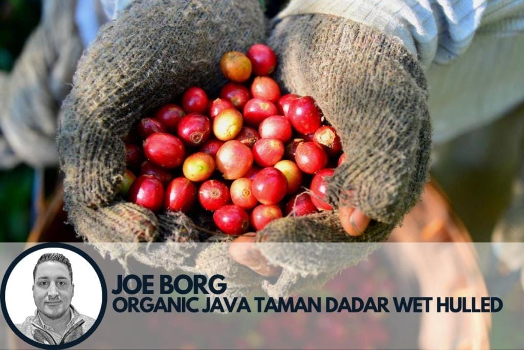 organic coffee from java