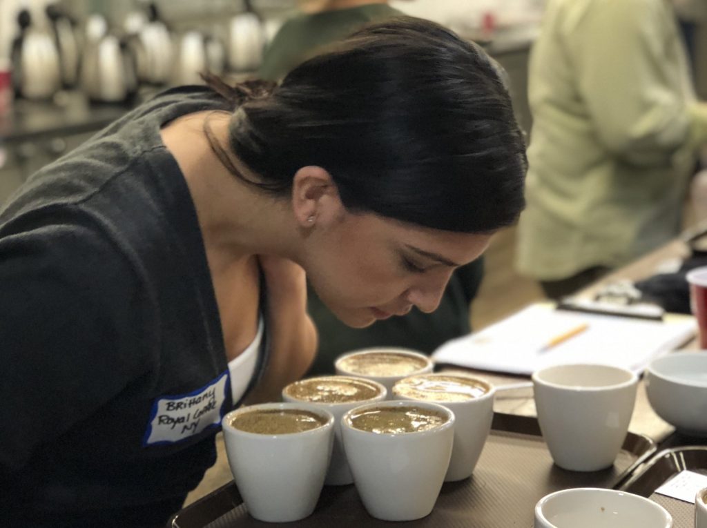Royal New York coffee trader evaluating coffee