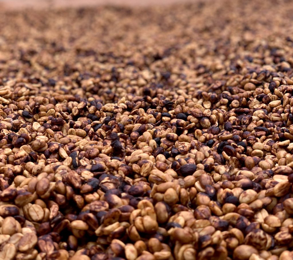 specialty honey processed coffee