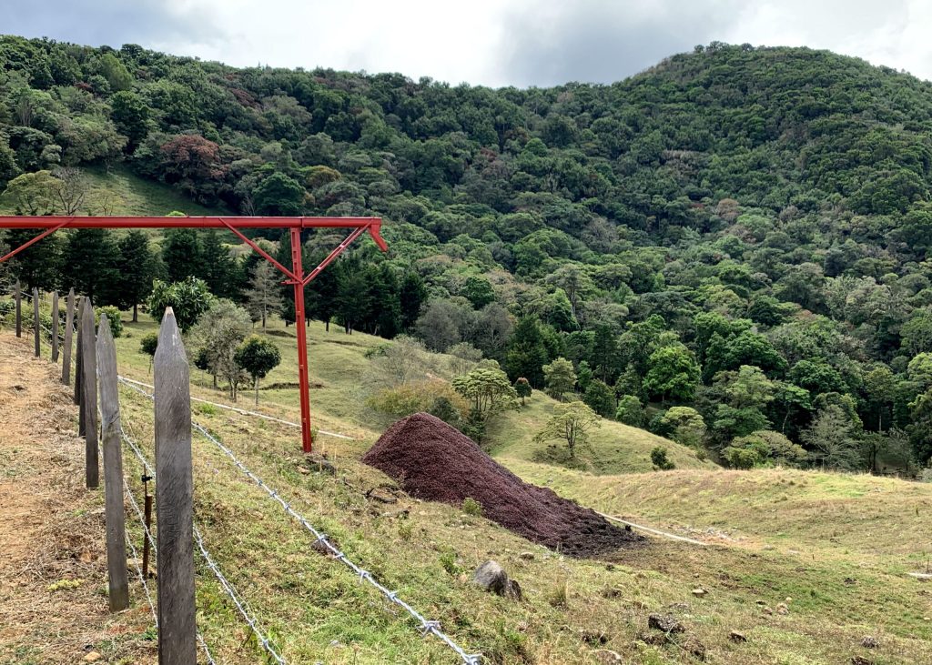 Specialty coffee farm in Costa Rica