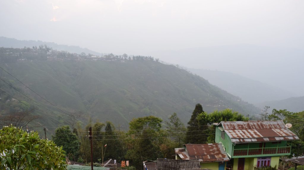 landscape photo of India tea farm