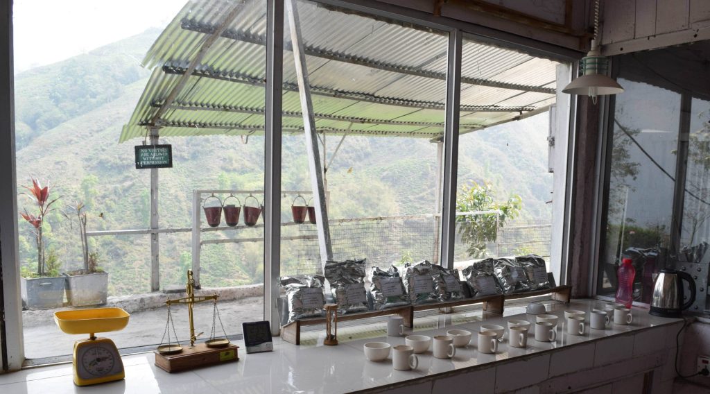 Specialty tea cupping in India