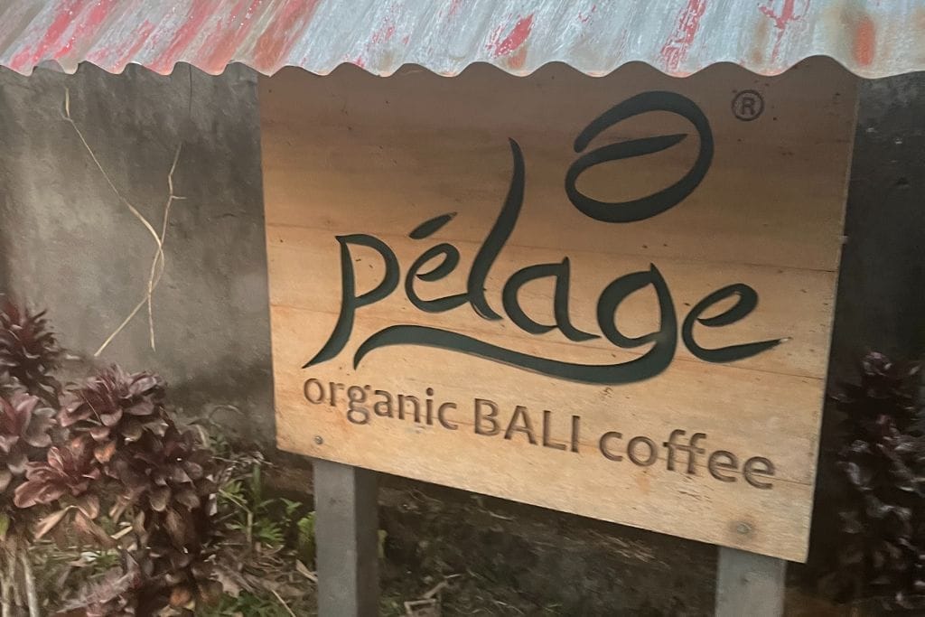 indonesian coffee pelage