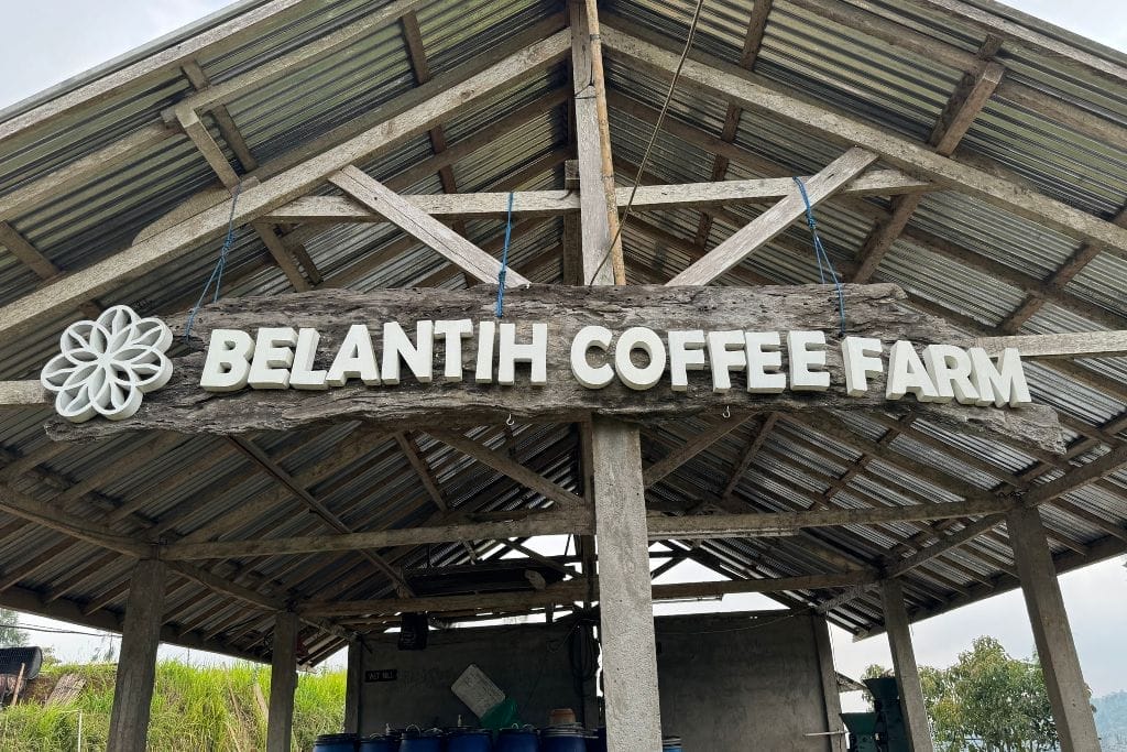 indonesian coffee farm