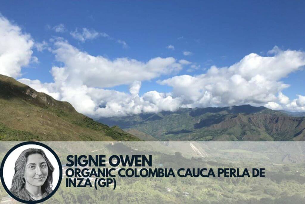 landscape photo of the mountains of Colombia