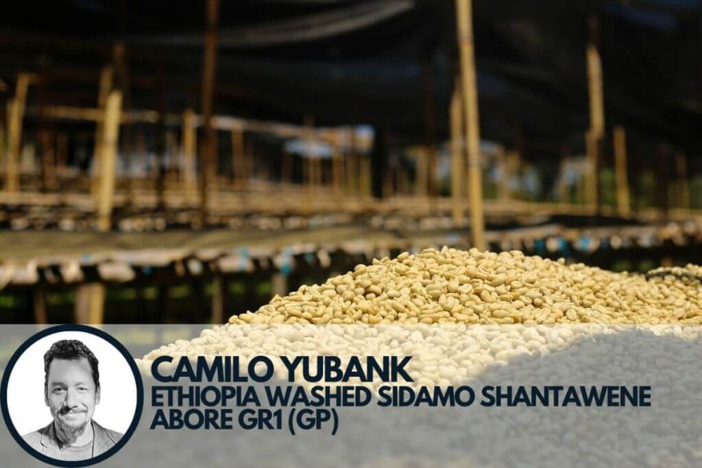 specialty coffee beans drying on raised beds