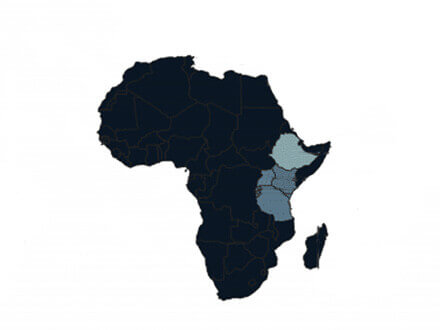 Africa Coffee Roast Profiles