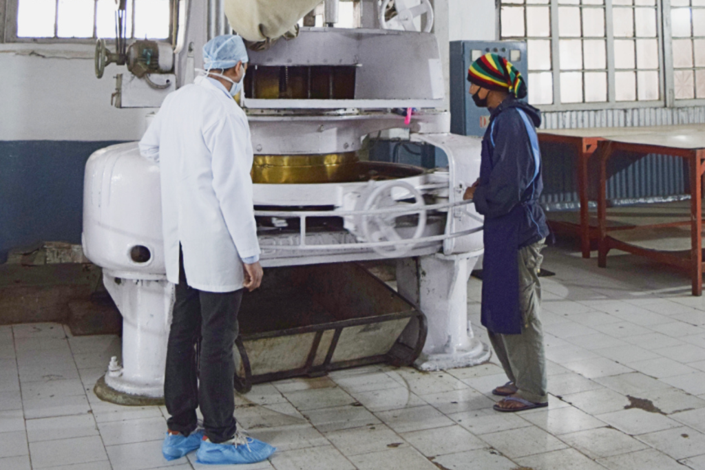 Oolong tea processing