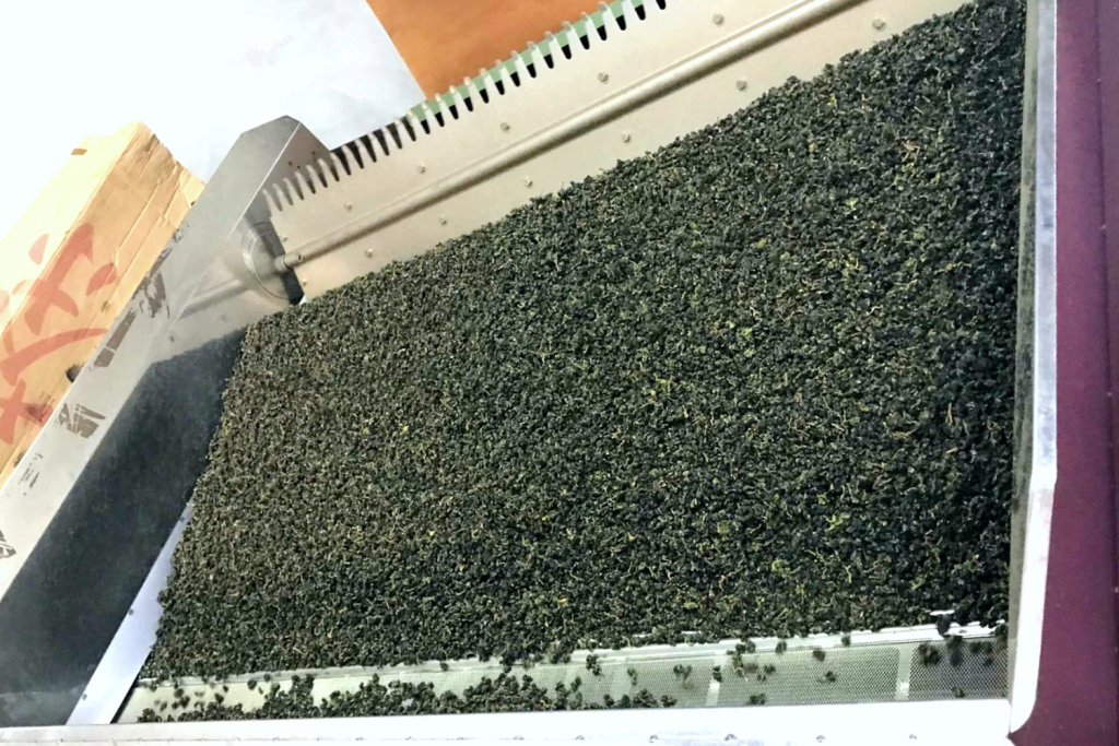 Oolong tea processing