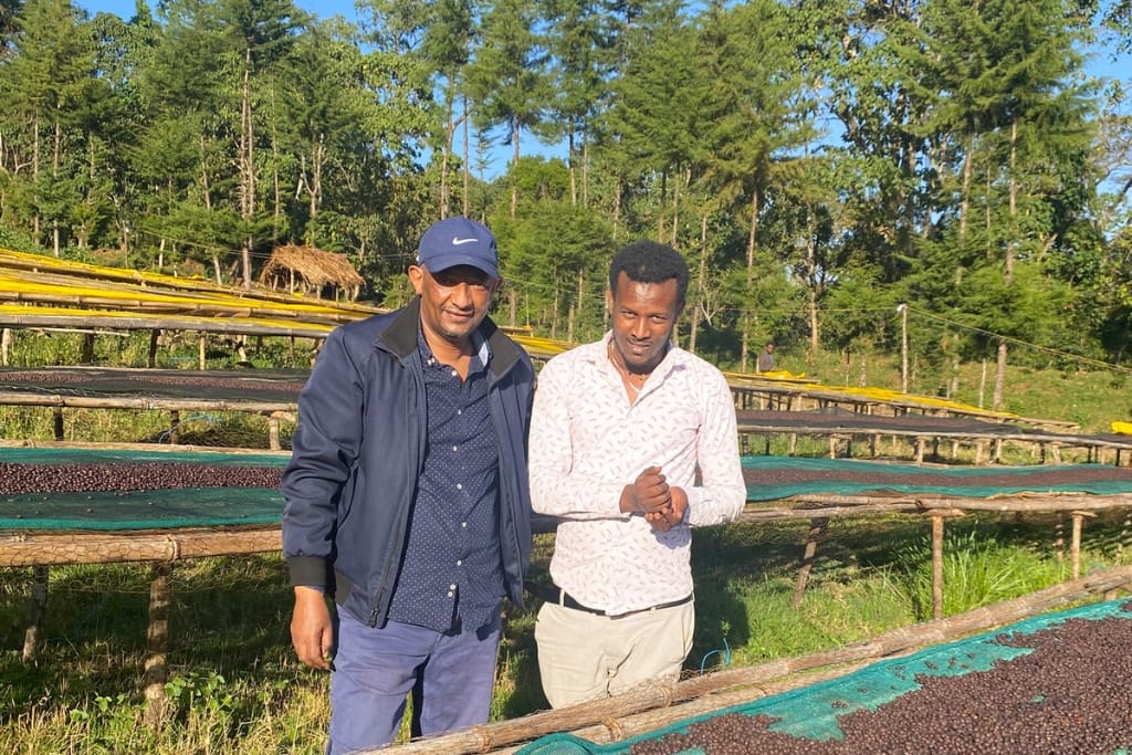 natural anaerobic coffee from ethiopia