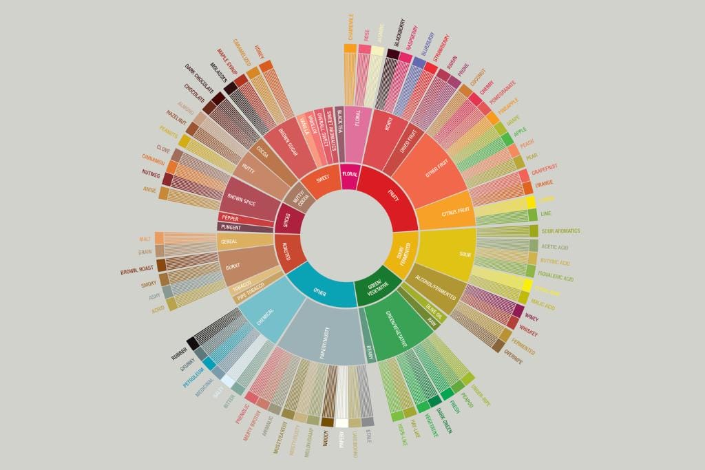 Learn with The Lab: Coffee Flavor Wheel & Sensory Lexicon | Royal New York