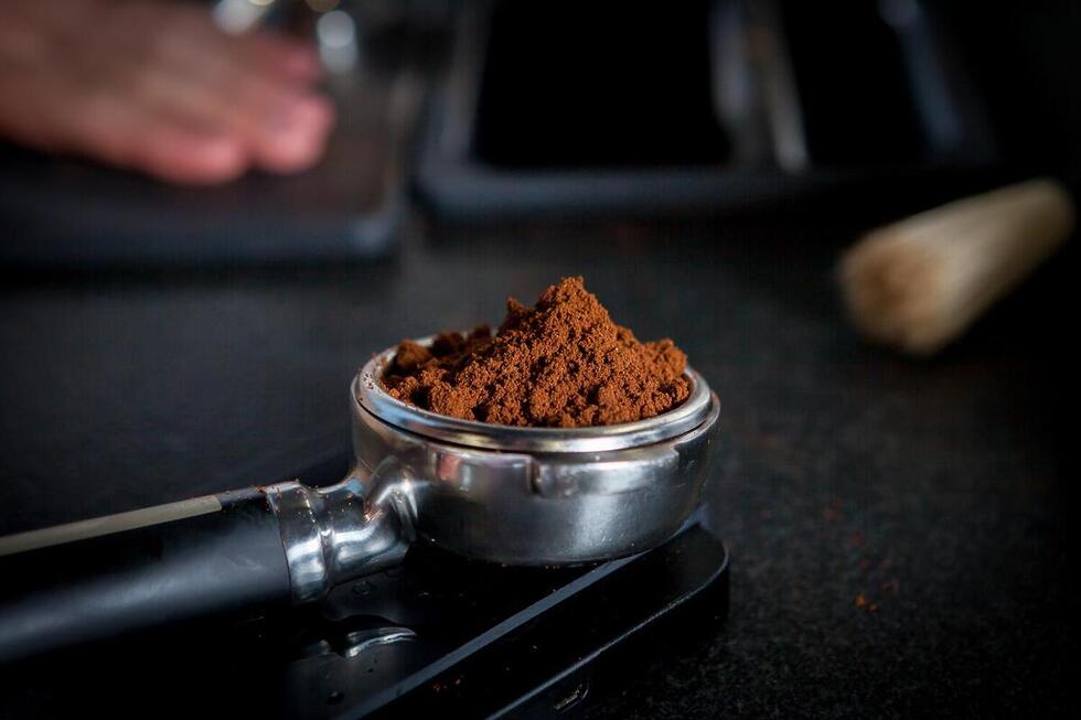 SCA Barista Skills Professional at The Lab by Royal New York