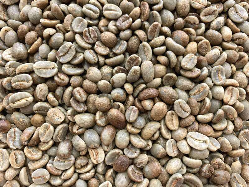 Colombia Aponte Honey Process