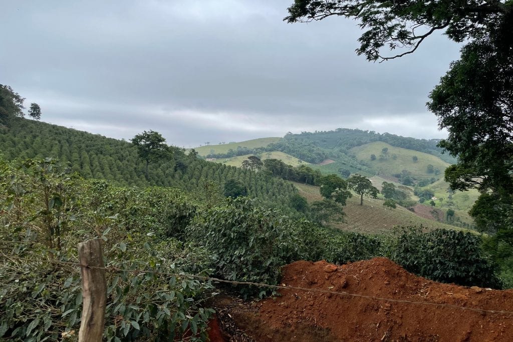 Fazendas vs. Sitios: Coffee Farms in Brazil