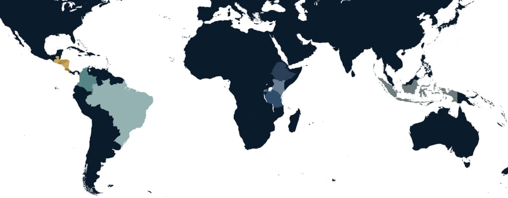 2025 Guide to Green Coffee Origin Arrivals