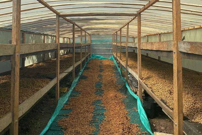 Nariño micro lot