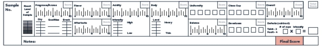 2004 sca cupping form