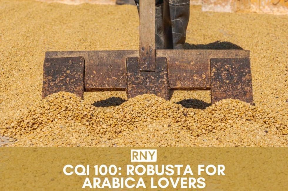 washed specialty coffee drying at origin