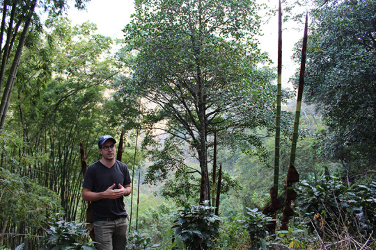 Pedro Echavarria of Pergamino on a specialty coffee farm in Colombia