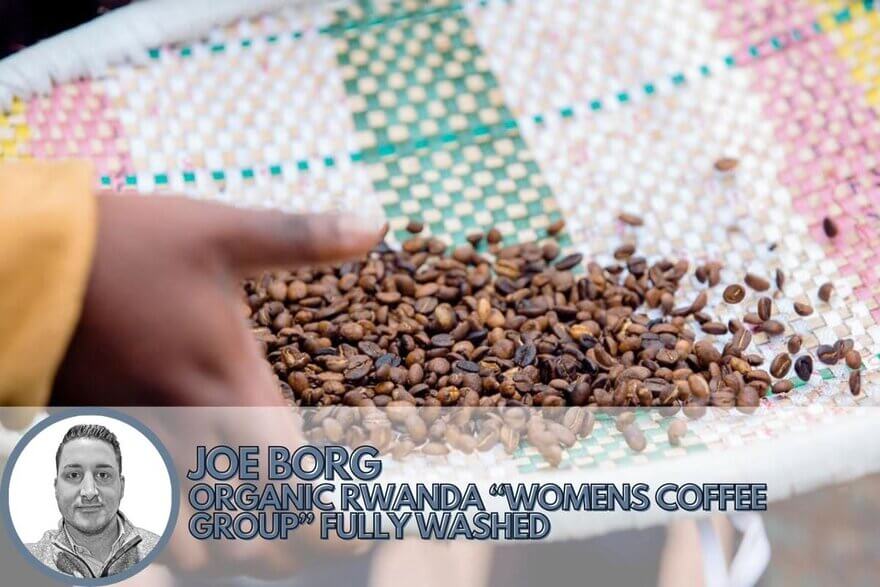 washed process coffee from tanzania