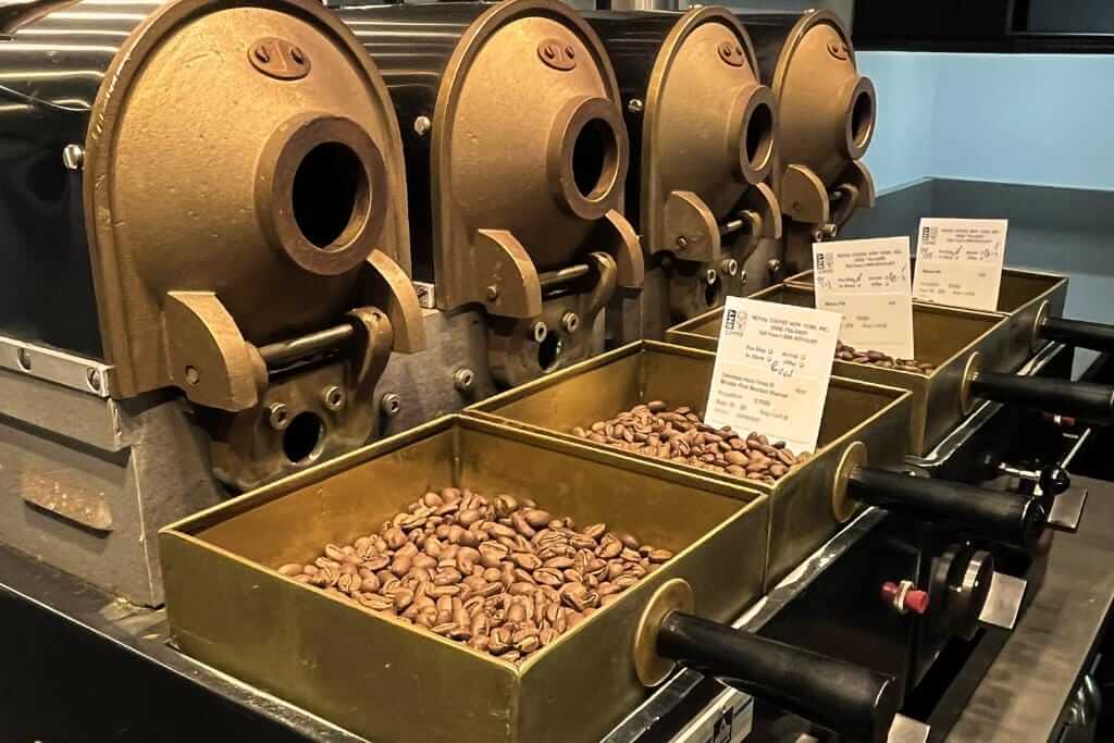 sample roasting